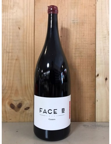 FACE B Gones 2022 Vin de France (Calce) 150cl Magnum Rouge